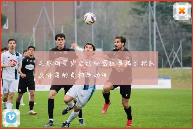 足球明星背后的秘密故事揭示挖队友墙角的真相与动机