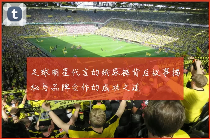 足球明星代言的纸尿裤背后故事揭秘与品牌合作的成功之道